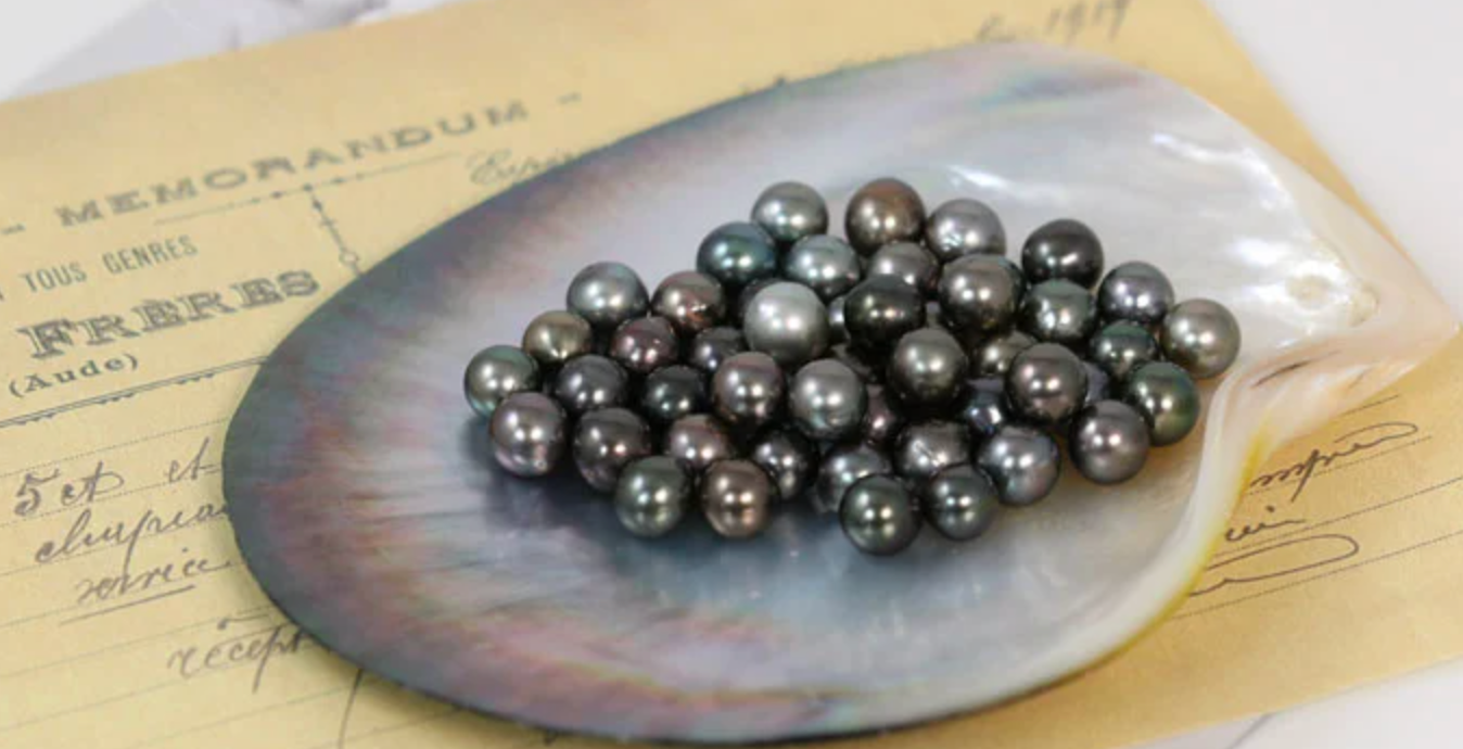 Perlas negras y grisáceas apiladas en una concha sobre papel envejecido